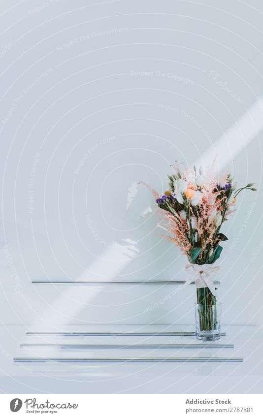 Wunderschöne frische Blumen in Vase Blumenstrauß wunderbar Valentinsgruß geblümt Haufen aromatisch Wand weiß Glas Natur Dekoration & Verzierung Blüte Pflanze