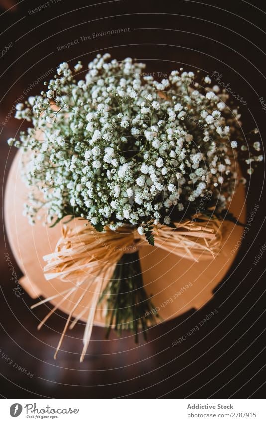Blumenstrauß aus weißen Blumen auf Ständer stehen Valentinsgruß Haufen frisch geblümt Dekoration & Verzierung Tisch Feste & Feiern romantisch Blüte Pflanze