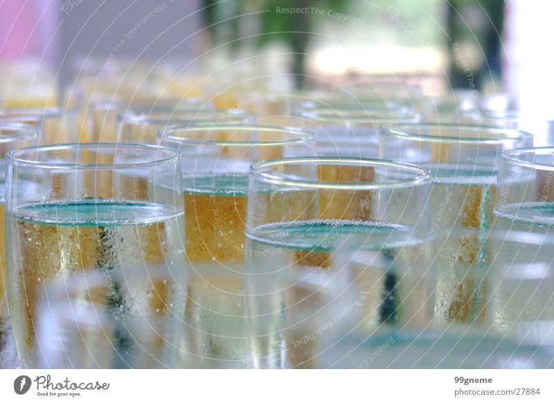 Celebration Zoomeffekt Champagner Sekt Glas Alkohol Makroaufnahme Begrüßung Feste & Feiern Blase Party