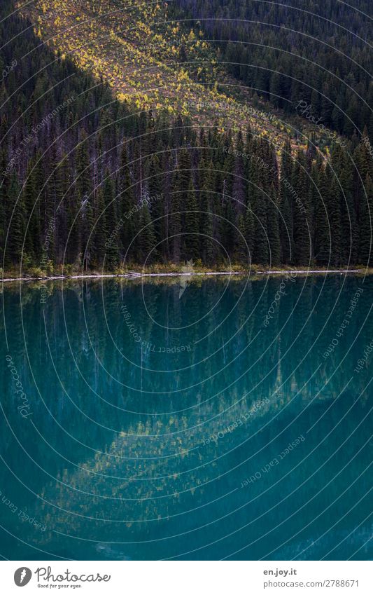 Wasserrutsche Ferien & Urlaub & Reisen Natur Landschaft Herbst Wald Hügel Seeufer Emerald Lake türkis Kanada Nordamerika Gebirgssee British Columbia