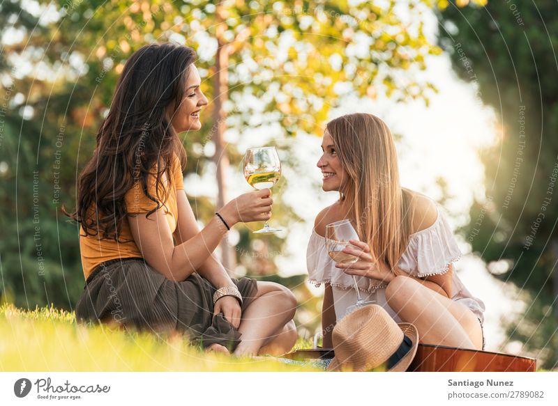 Schöne Frauen, die im Park Wein trinken. Picknick Freundschaft Jugendliche Glück Glas Zuprosten klirrend Gitarre Sommer Mensch Freude Mädchen hübsch Liebe schön