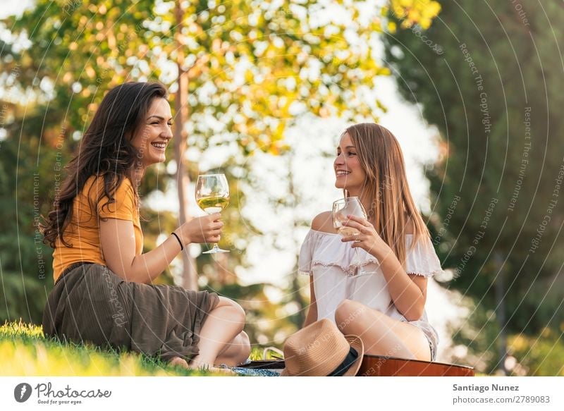 Schöne Frauen, die im Park Wein trinken. Picknick Freundschaft Jugendliche Glück Glas Zuprosten klirrend Gitarre Sommer Mensch Freude Mädchen hübsch Liebe schön