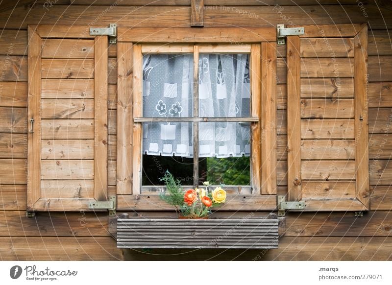 Heimat Schwarzwaldhaus Wohnung Blume Fassade Fenster Fensterscheibe Fensterladen Gardine Holz alt schön Geborgenheit heimatlich Nostalgie Bauernhof Farbfoto