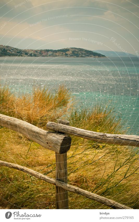 Inselromantik Sommer Sommerurlaub Meer Natur Landschaft Pflanze Küste Adria Krk authentisch Freundlichkeit natürlich positiv Wärme blau gelb türkis ruhig