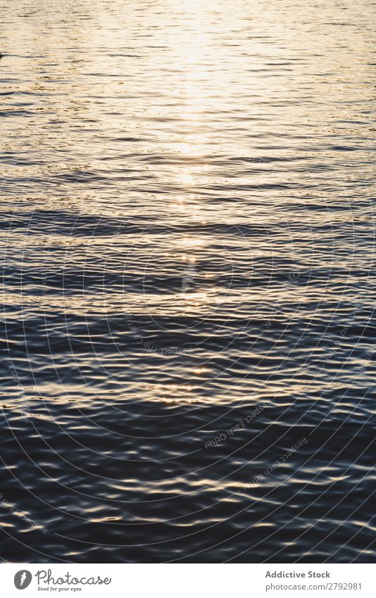 Wellen auf der Wasseroberfläche und Sonnenschein winken Oberfläche platschen Niederlande Meer Sonnenstrahlen Wetter winkend natürlich Natur liquide Sonnenlicht
