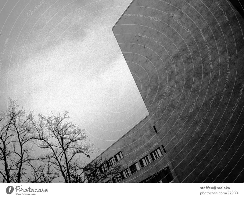 Berlin 2002 Tiergarten Mauer Brandmauer Haus Fenster Stadt Neubau Putz Fassade Wolken grau trist taumeln Architektur Deutschland Ländervertretung Stein Himmel