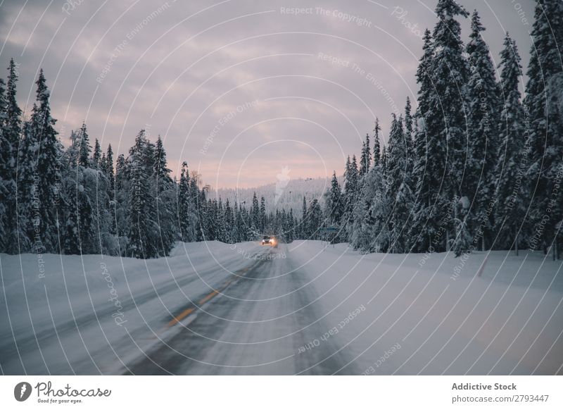 Auto auf verschneiter Straße am Waldrand PKW Winter Landschaft Arktis Schnee Ausritt Himmel Wolken Wetter Menschenleer Baum Konifere Asphalt Wege & Pfade