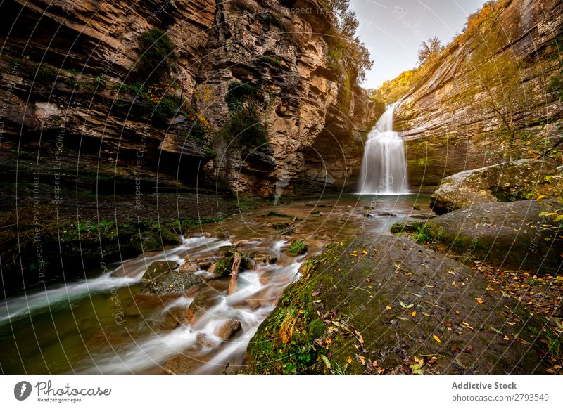 Wasserfall in der Mitte des Berges Wald Natur Fluss Landschaft Park Herbst Ferien & Urlaub & Reisen grün schön Hintergrundbild Berge u. Gebirge strömen