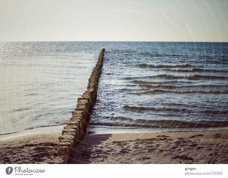 Hiddensee | An der Buhne Umwelt Natur Landschaft Erde Wasser Himmel Horizont Wellen Küste Strand Ostsee Meer Stimmung Einsamkeit lang blau-grau braun Sand