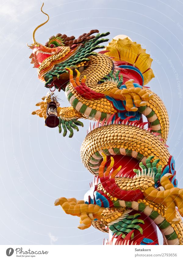 Chinesische Drachenskulptur auf dem Pol Stil Design Ferien & Urlaub & Reisen Dekoration & Verzierung Kunst Skulptur Kultur Tier Himmel Architektur Ornament