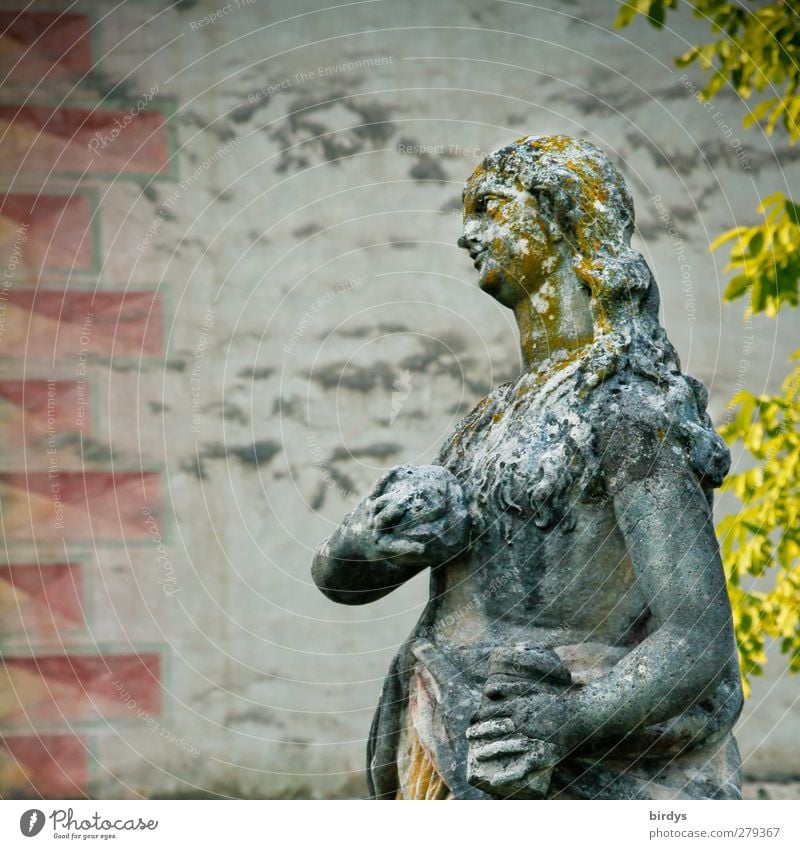 Geschöpf aus Stein Kunst Skulptur Fassade Sehenswürdigkeit Marienkirche ästhetisch Bekanntheit historisch schön feminin Glaube Religion & Glaube Kultur Blatt