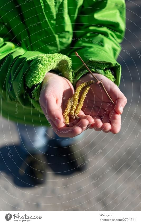 Haselnuss Kindererziehung Kindergarten Kleinkind Mädchen 3-8 Jahre Kindheit genießen stehen Neugier grün Selbstlosigkeit Menschlichkeit Solidarität Allergie