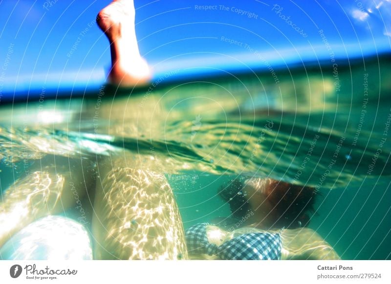 Synchronschwimmen - Anfängerin Schwimmen & Baden Im Wasser treiben Meer feminin Junge Frau Jugendliche Erwachsene Beine 1 Mensch 18-30 Jahre See Bikini Bewegung