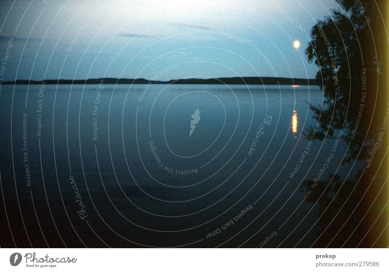 Nordischer Mondschein Umwelt Natur Landschaft Wasser Himmel Nachthimmel Horizont Vollmond Schönes Wetter Pflanze Baum Küste Seeufer Ferne Unendlichkeit blau