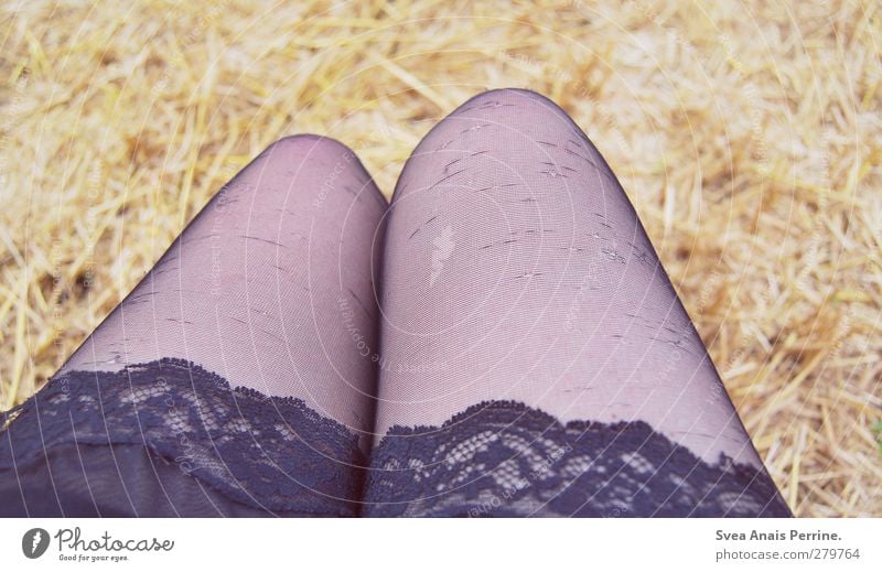 gereizt. feminin Junge Frau Jugendliche Beine 1 Mensch 18-30 Jahre Erwachsene Stroh strohig Feld Mode Rock Kleid Strumpfhose Spitze Leggings Farbfoto