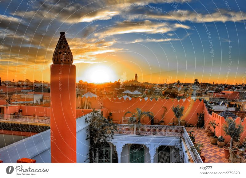 Über den Dächern von Marrakesch Stadt Altstadt Haus Dach Farbe Häusliches Leben Marrakech Naher und Mittlerer Osten Farbfoto Außenaufnahme Abend Sonnenaufgang