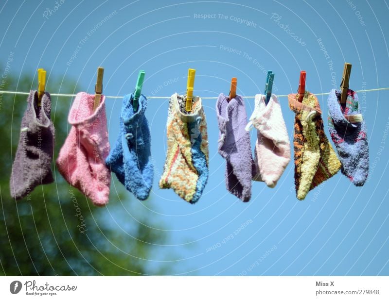 Wasch(lappen)tag Körperpflege hängen nass trocken Waschen Wäsche waschen Reinigen Angsthase Wäscheklammern Wäscheleine Putztuch trocknen Farbfoto mehrfarbig