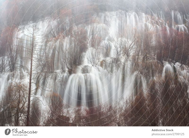 Wunderschöner Wasserfall beim Baum wild Kaskade rio cuervo Spanien Cuenca fallend strömen Höhe erstaunlich Holz Felsen Berge u. Gebirge Natur Stein Pflanze