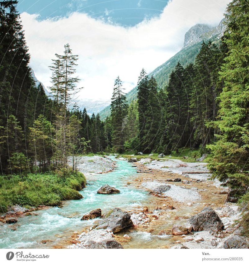 Alles im Fluss Natur Landschaft Erde Wasser Himmel Wolken Sommer Baum Wald Felsen Alpen Berge u. Gebirge Flussufer Bach Partnach Stein frisch blau grün fließen