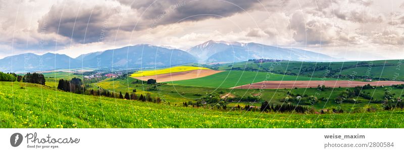 Frühlingssturm im Bergpanorama. Löwenzahnwiese. Ferien & Urlaub & Reisen Tourismus Ausflug Abenteuer Ferne Freiheit Sommer Berge u. Gebirge Häusliches Leben