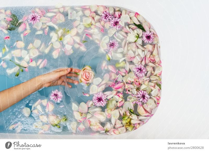 Bad gefüllt mit Wasser, Blumen und Blütenblättern mit Frauenhand Finger Hand aromatisch Kunst Schwimmen & Baden Badewanne Beautyfotografie blau Bombe