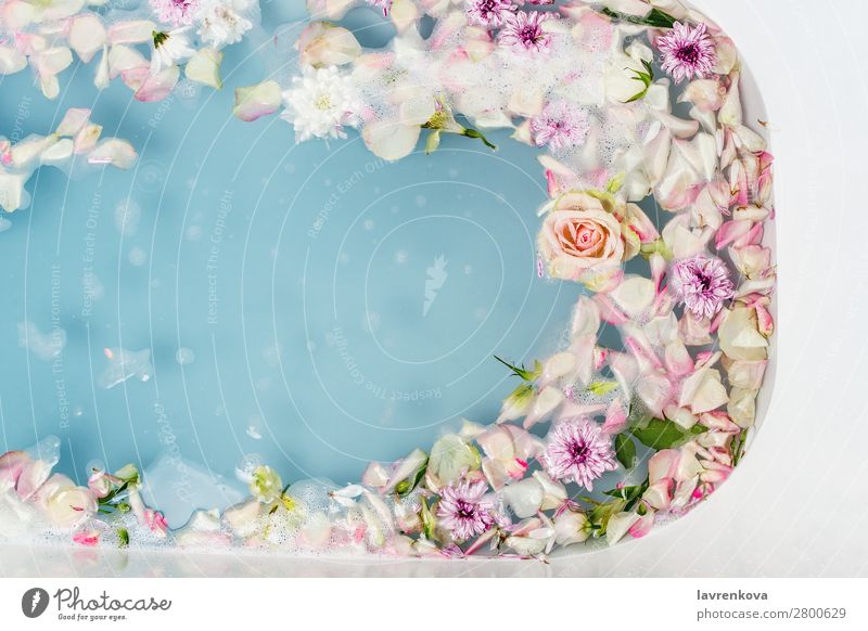 Bad gefüllt mit blauem Seifenblasenwasser, Blumen und Blütenblättern aromatisch Kunst Schwimmen & Baden Badewanne Beautyfotografie Bombe Blumenstrauß Sauberkeit