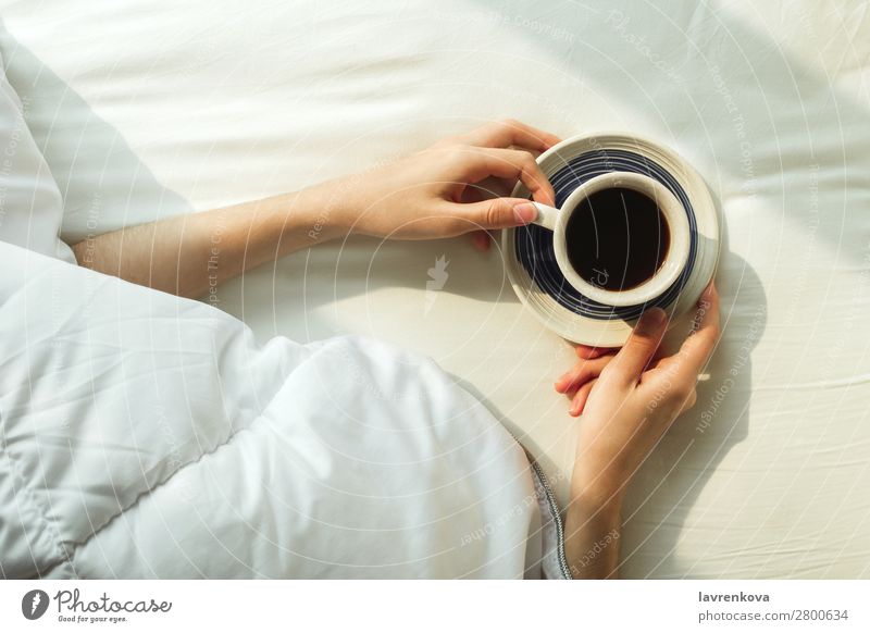 Flache Auflage der Frauenhände, die von einer Decke bedeckt ist, die Kaffee hält. schön Schlafzimmer Frühstück Geborgenheit gemütlich Tasse Getränk Flachlegung