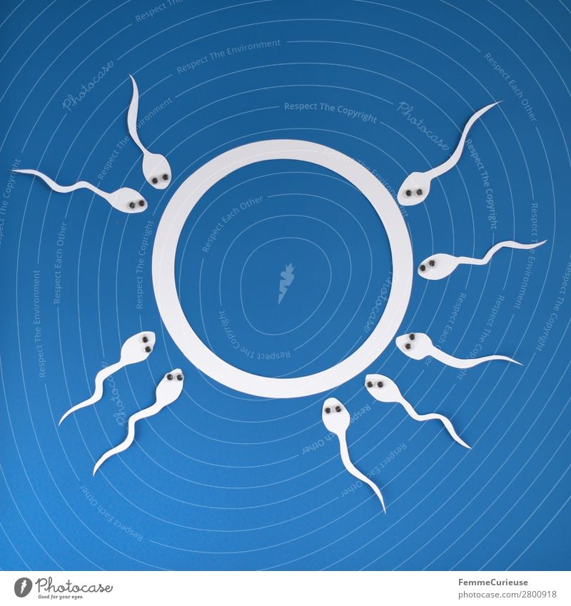 Reproduction - Sperm with wobbly eyes swimming to egg cell Zeichen Sex Sexualität Papier ausgeschnitten weiß blau Spermien Eizelle Wackelaugen Auge