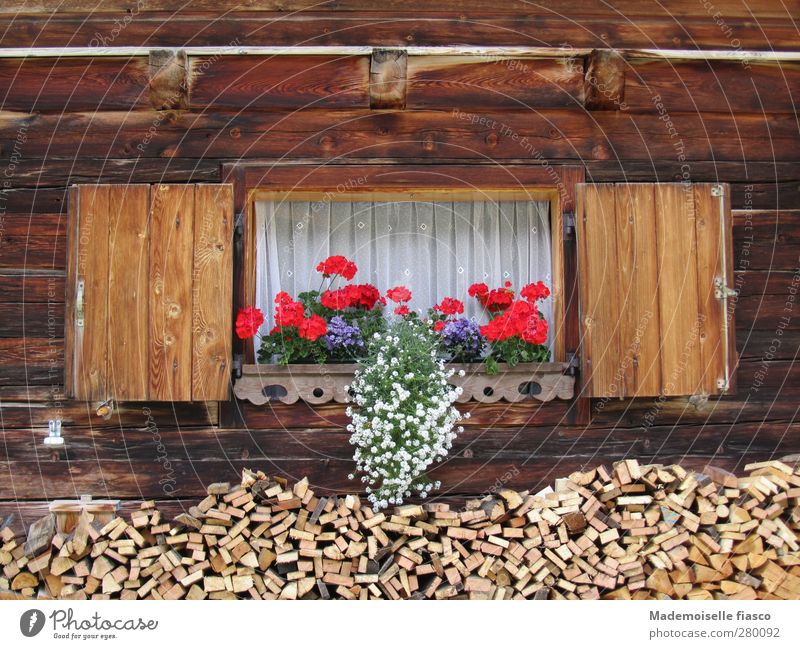Fenster einer Holzhütte mit Blumenkasten Sommer Topfpflanze Alpen Hütte Blühend Originalität braun rot weiß Natur Ferien & Urlaub & Reisen Stil Tourismus