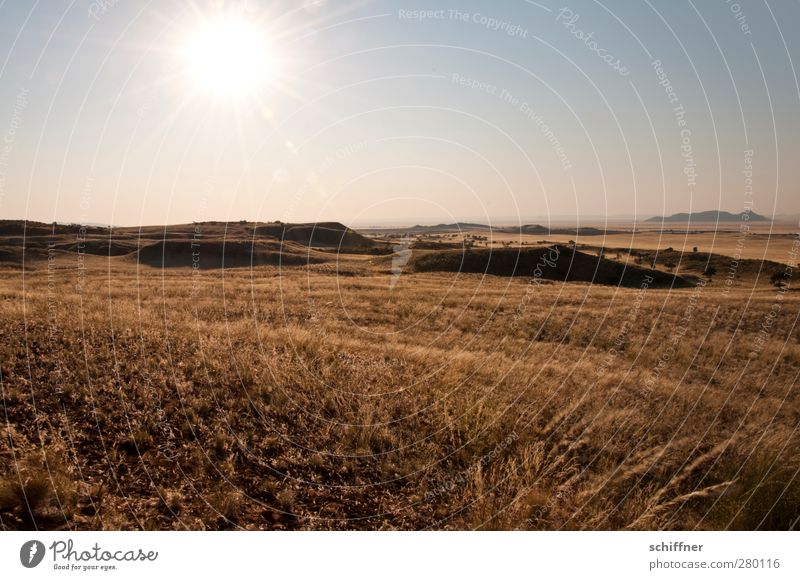 Weites Land Umwelt Natur Landschaft Pflanze Wolkenloser Himmel Klima Schönes Wetter Gras Wüste Unendlichkeit Steppe Ferne Aussicht Hügel Dürre Sonne Sonnenlicht