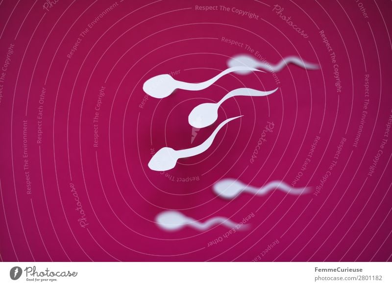 Symbol picture - a group of swimming sperm Zeichen Sex Sexualität Spermien weiß rosa Papier Symbole & Metaphern Grafik u. Illustration Grafische Darstellung