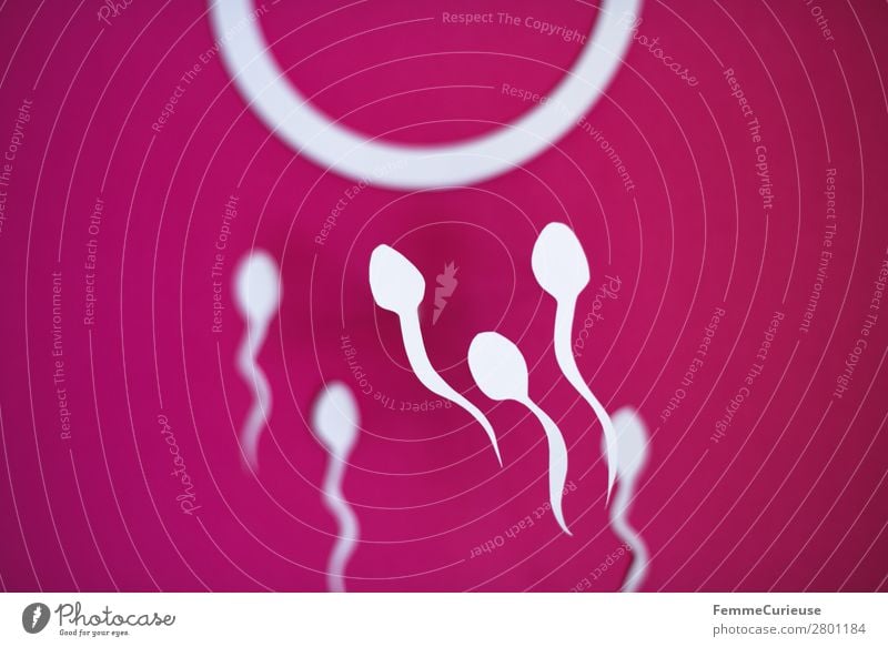 Reproduction - sperm swimming to egg cell Zeichen Sex Sexualität Spermien Eizelle Papier ausgeschnitten Symbole & Metaphern Grafik u. Illustration