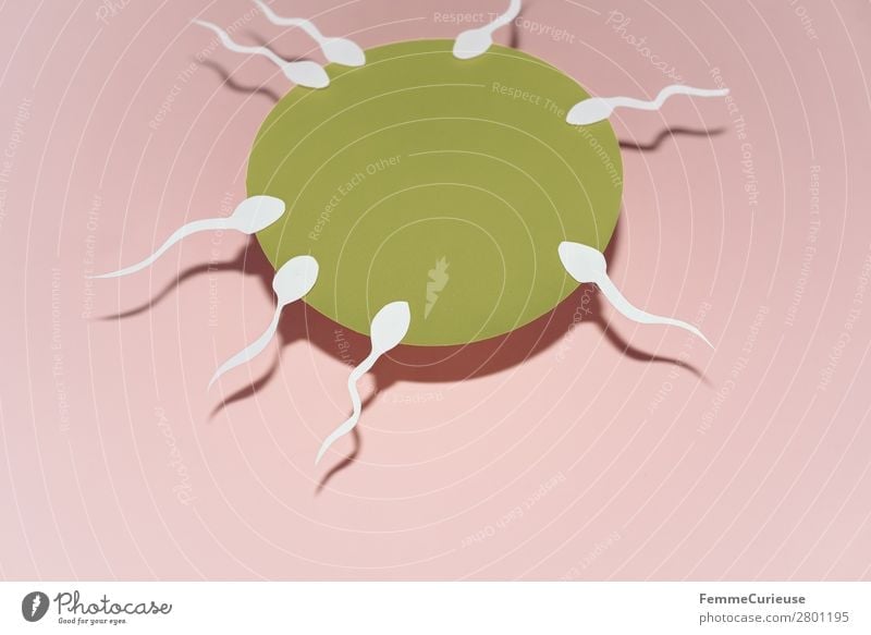 Reproduction - sperm swimming to egg cell Zeichen Sex Sexualität geblitzt Schlagschatten Eizelle Spermien rosa weiß Fortpflanzung Fertilisation Familienplanung