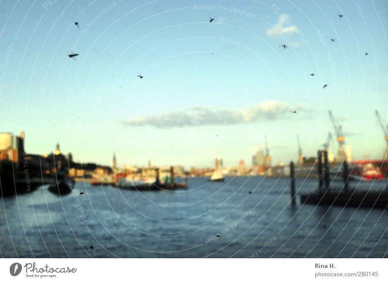 Ins Netz gegangen Himmel Wolken Horizont Sommer Schönes Wetter Fluss Hamburg Hamburger Hafen Hafenstadt Schifffahrt Binnenschifffahrt blau mehrfarbig Kran