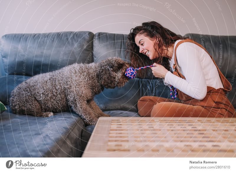 ein Hund und sein passendes Spiel auf einem Sofa mit starkem Seil Lifestyle Freude schön Erholung Freizeit & Hobby Spielen Haus Wohnzimmer Schlafzimmer Frau