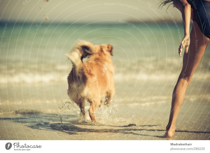 Ferien am Meer Ferien & Urlaub & Reisen Sommer Sommerurlaub Strand Wellen feminin Kind Mädchen Kindheit 1 Mensch 8-13 Jahre Wasser Küste Haustier Hund Tier