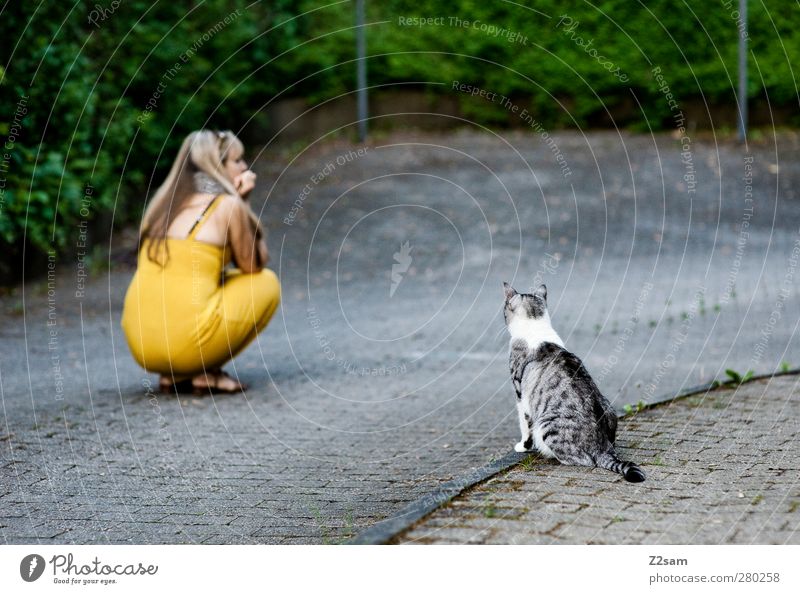mieze trifft mieze feminin Junge Frau Jugendliche 1 Mensch 18-30 Jahre Erwachsene Sträucher Straße Kleid blond Haustier Katze beobachten hocken Kommunizieren