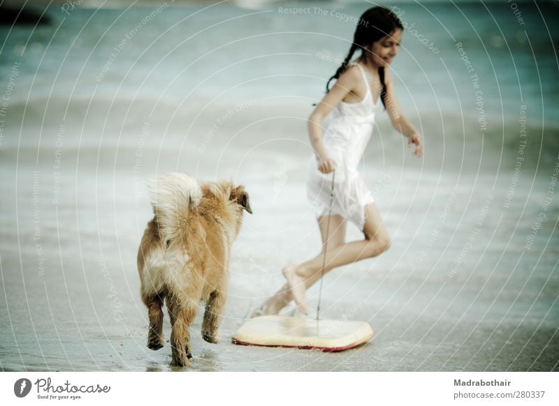 Sommerfreuden Freude Ferien & Urlaub & Reisen Sommerurlaub Strand Meer Wellen Surfbrett feminin Kind Mädchen Kindheit Wasser Küste Haustier Hund laufen Spielen