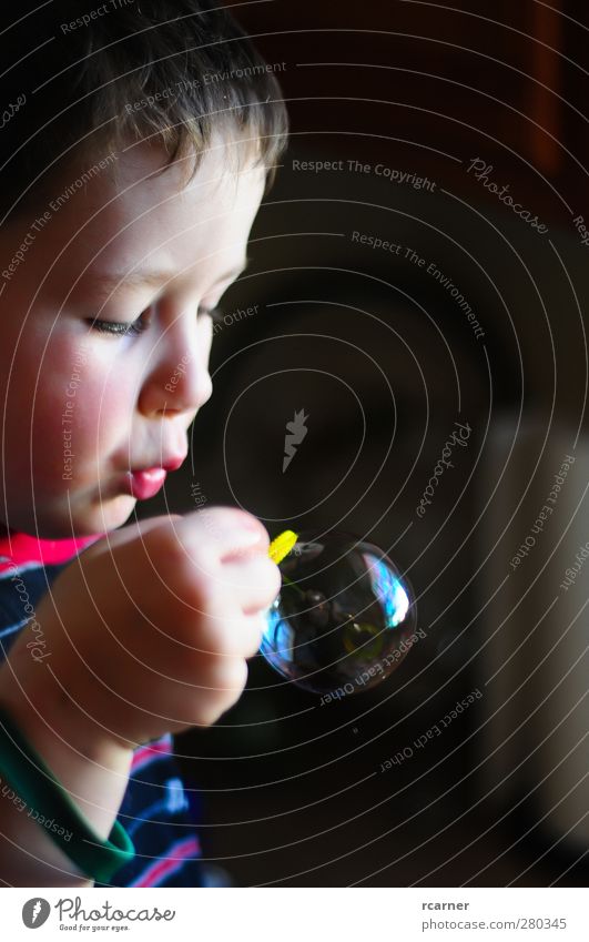 Lernen, Blasen zu blasen Kinderspiel Kopf Hand 1 Mensch 3-8 Jahre Kindheit anstrengen Farbfoto Innenaufnahme Textfreiraum rechts Licht Schatten Kontrast