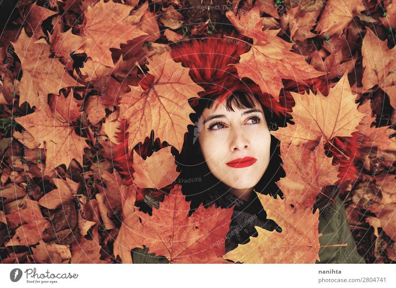 Junge Frau, die auf dem Boden voller Herbstblätter liegt. Lifestyle Stil Freude schön Gesicht Wellness Wohlgefühl ruhig Freizeit & Hobby Mensch feminin