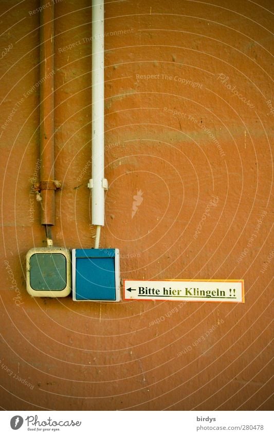 Klingel ? Technik & Technologie Mauer Wand Fassade Schalter Kabel Schilder & Markierungen Hinweisschild Warnschild authentisch Originalität blau braun Stadt