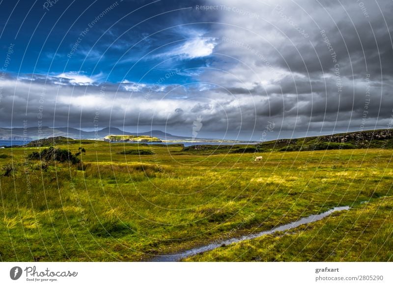 Landschaft mit Kuh and der Küste der Isle of Skye in Schottland Atlantik Berge u. Gebirge Großbritannien Highlands Himmel Insel Landwirtschaft malerisch Meer