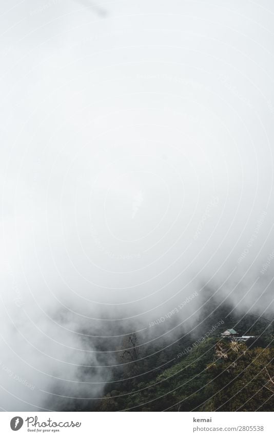 Im Nebel ruhig Abenteuer Ferne Freiheit Expedition Natur Landschaft Luft Wetter Sträucher Wald Urwald Hügel Berge u. Gebirge Costa Rica Haus außergewöhnlich
