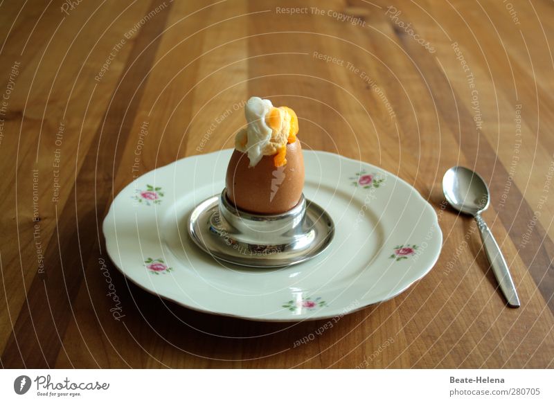 Herbei zum Überraschungsei ... Lebensmittel Hühnerei Ernährung Frühstück Teller Besteck Löffel Tisch Essen Holz genießen sitzen natürlich braun gelb weiß