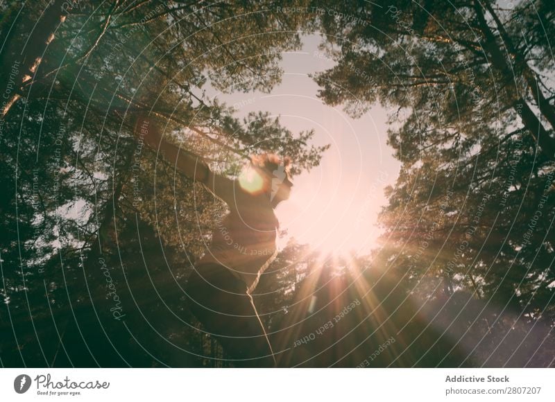 Abstraktes Porträt einer Frau im Wald abstrakt springen Bewegung Mensch Mädchen weiß Sonne Sonnenstrahlen Jugendliche Holz Kunst Baum Dame Entwurf Natur Szene