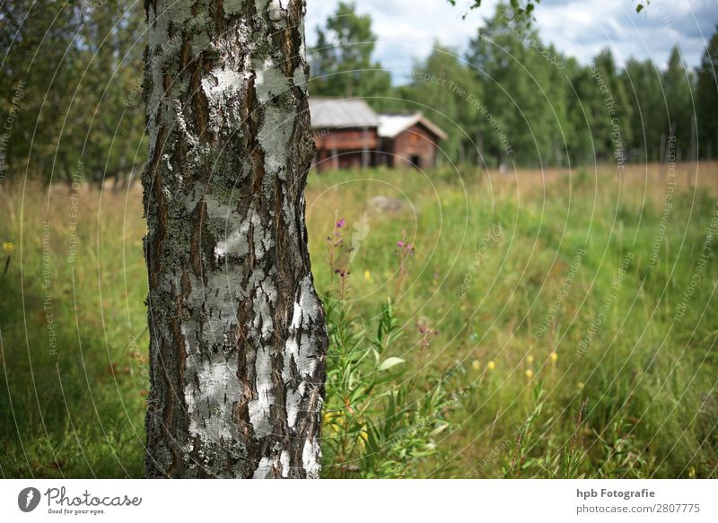 Schwedische Bauernhäuser Ferien & Urlaub & Reisen Tourismus Ferne Sommer Sommerurlaub wandern Fortschritt Zukunft Erneuerbare Energie Umwelt Natur Landschaft