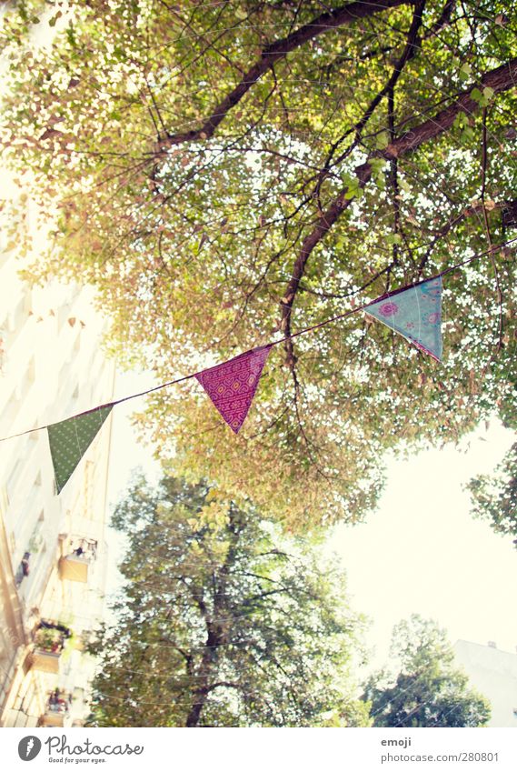 [b]unt Umwelt Natur Frühling Sommer Schönes Wetter Pflanze Baum natürlich grün Girlande Dekoration & Verzierung Party Feste & Feiern festlich mehrfarbig