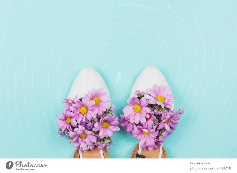 Damenschuhe gefüllt mit rosa Margeriten und Wildblumen. weiß Blütenblatt Feste & Feiern Pflanze hell natürlich schön geblümt Stil Pastellton Blume Kunst Schuhe