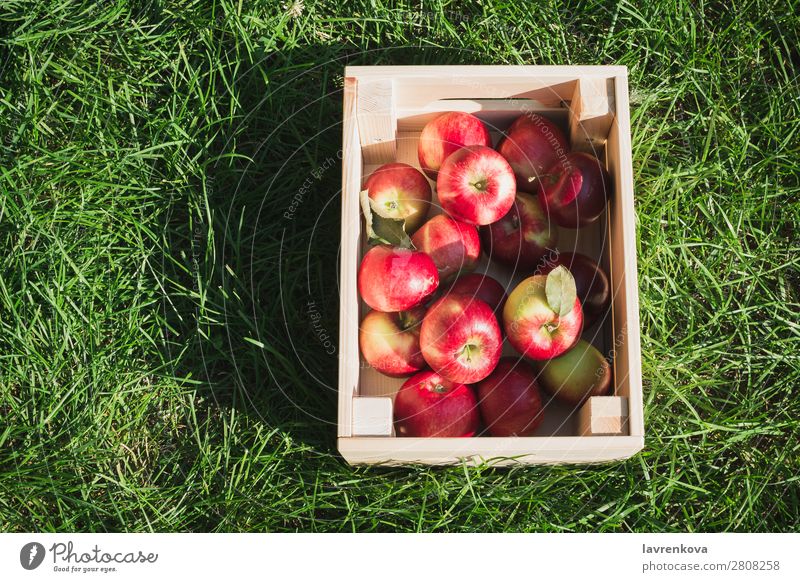 Flachlegen mit frischen reifen roten Äpfeln in einer Holzkiste flache Verlegung Gras Kasten Landwirt Farbe Außenaufnahme Diät Frucht lecker