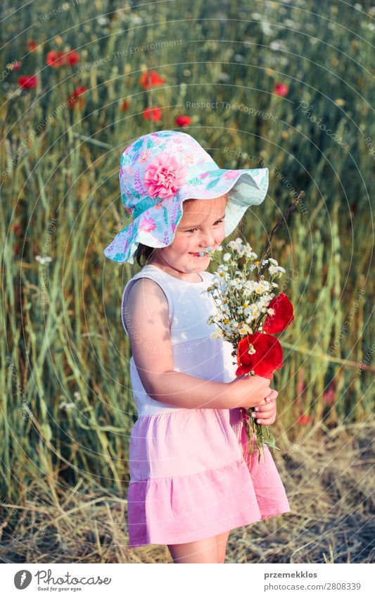 Schönes kleines Mädchen auf dem Feld der Wildblumen. Lifestyle Freude Glück schön Sommer Garten Kind Mensch Frau Erwachsene Eltern Mutter